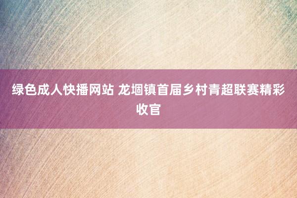 绿色成人快播网站 龙堌镇首届乡村青超联赛精彩收官