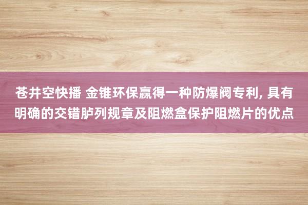 苍井空快播 金锥环保赢得一种防爆阀专利， 具有明确的交错胪列规章及阻燃盒保护阻燃片的优点