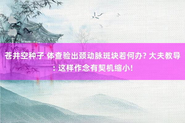 苍井空种子 体查验出颈动脉斑块若何办? 大夫教导: 这样作念有契机缩小!