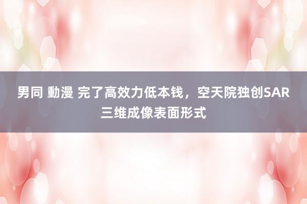 男同 動漫 完了高效力低本钱，空天院独创SAR三维成像表面形式