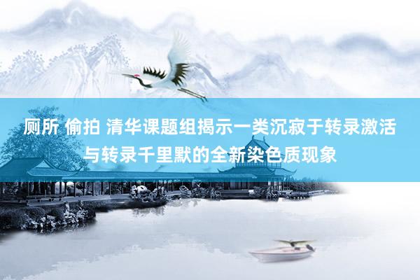 厕所 偷拍 清华课题组揭示一类沉寂于转录激活与转录千里默的全新染色质现象