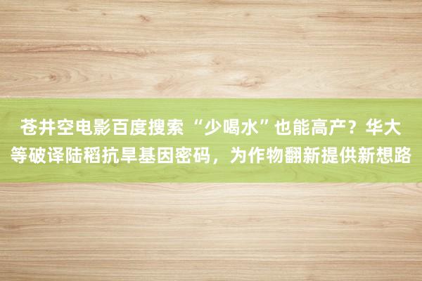 苍井空电影百度搜索 “少喝水”也能高产？华大等破译陆稻抗旱基因密码，为作物翻新提供新想路