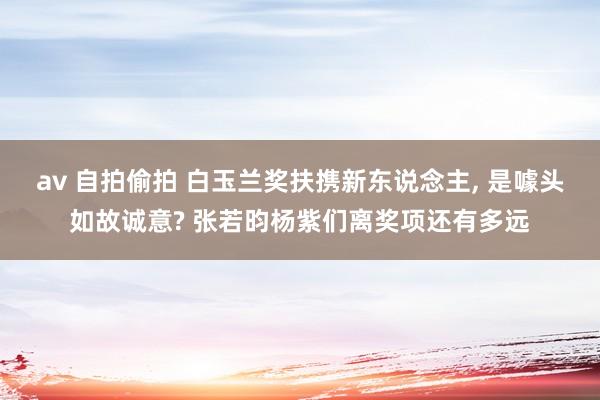 av 自拍偷拍 白玉兰奖扶携新东说念主， 是噱头如故诚意? 张若昀杨紫们离奖项还有多远